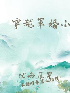 穿越军婚小媳妇