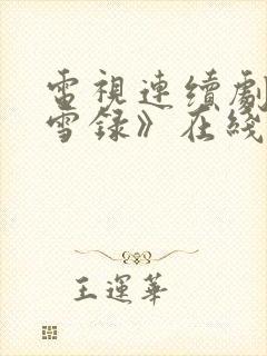 电视连续剧《朝雪录》在线观看免费