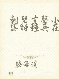 刺儿有声小说全集特种兵在都市