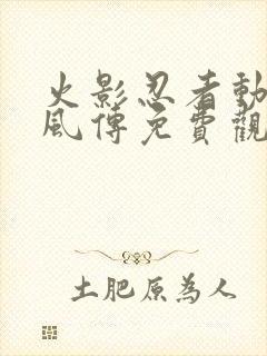 火影忍者动漫疾风传免费观看