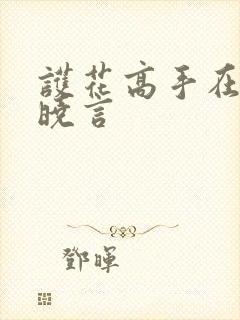 护花高手在都市晓言