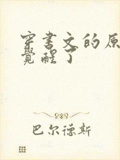 穿书文的原女主觉醒了