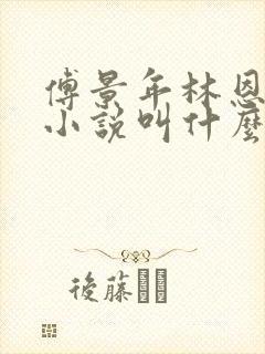 傅景年林恩恩的小说叫什么名字