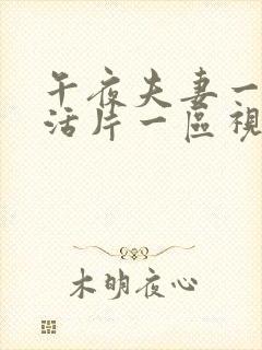 午夜夫妻一级生活片一区视频