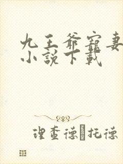 九王爷宠妻如命小说下载