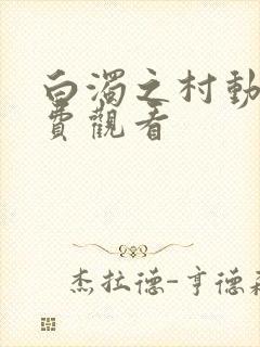 白浊之村动漫免费观看