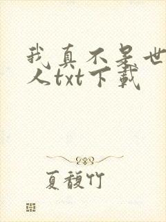 我真不是世外高人txt下载