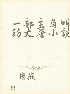 一部主角叫林凡的大唐小说