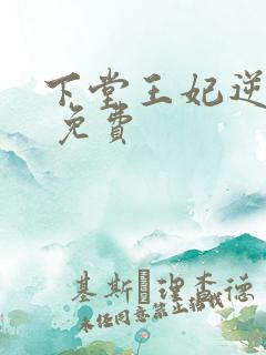 下堂王妃逆袭记 免费