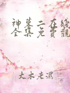 神墓二在线观看全集免费观看动漫