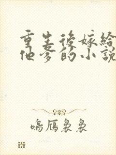 重生后嫁给前夫他爹的小说