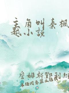 主角叫秦枫的穿越小说