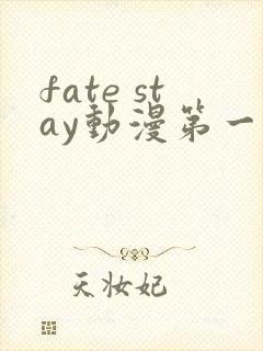 fate stay动漫第一季免费观看