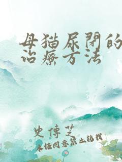 母猫尿闭的快速治疗方法