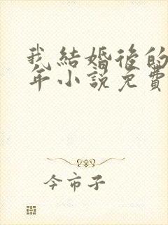 我结婚后的那些年小说免费阅读