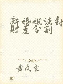 新婚姻法对二婚财产分割