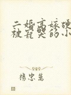 二婚高嫁硬汉后被宠哭的小说