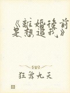 《离婚后前夫总是想追我》