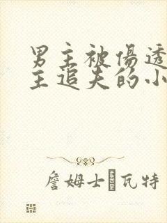 男主被伤透心女主追夫的小说推荐