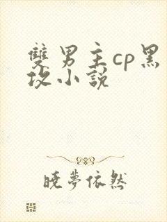 双男主cp黑道攻小说