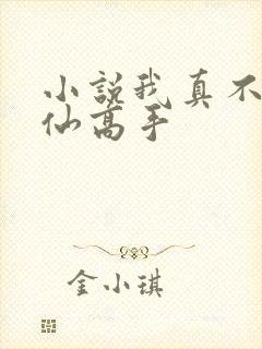 小说我真不是修仙高手