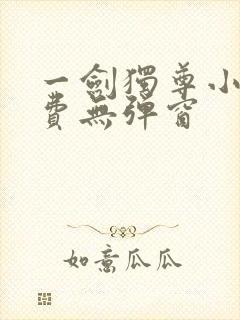 一剑独尊小说免费无弹窗