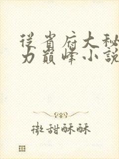 从省府大秘到权力巅峰小说在线阅读