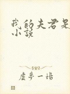 我的夫君是大佬小说