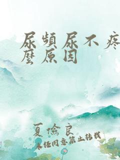 尿频尿不疼是什么原因