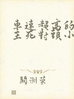 车速超高的双男主死对头小说