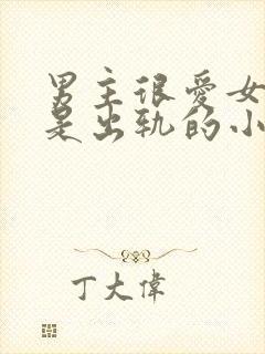 男主很爱女主但是出轨的小说