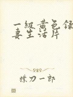 一级黄色录像夫妻生活片