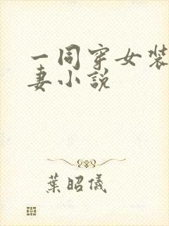 一同穿女装的夫妻小说