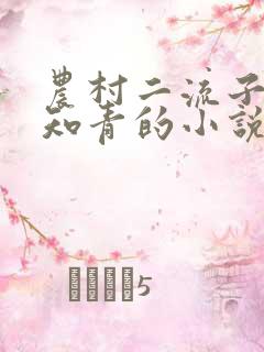 农村二流子娶女知青的小说