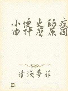 小便火的症状是由什么原因