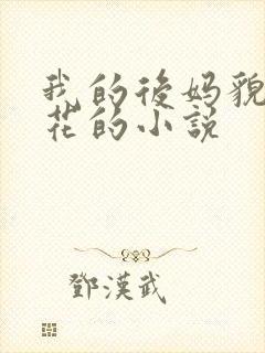 我的后妈貌美如花的小说