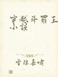 穿越斗罗王枫的小说