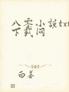 八零小说txt下载网