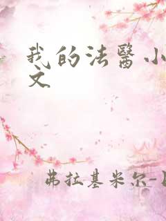 我的法医小姐车文