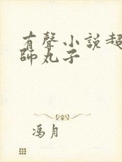 有声小说超品相师丸子