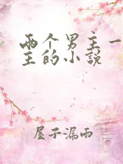 两个男主一个女主的小说