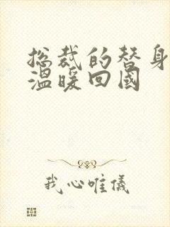 总裁的替身前妻温暖回国