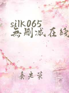 silk065无删减在线播放