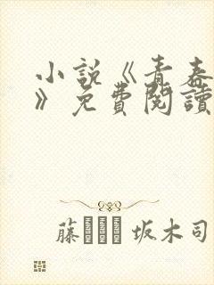 小说《青春少年》免费阅读
