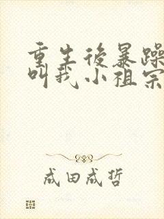 重生后暴躁大佬叫我小祖宗 txt全本