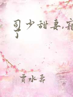 司少甜妻,宠定了