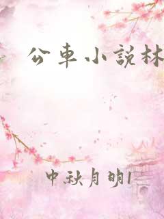 公车小说林蔓蔓