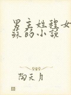 男主姓程女主姓苏的小说