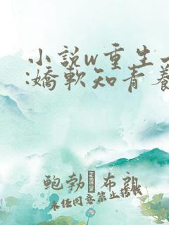小说w重生七零:娇软知青养娃记》