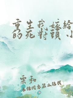 重生我嫁给渣男的死对头 小说